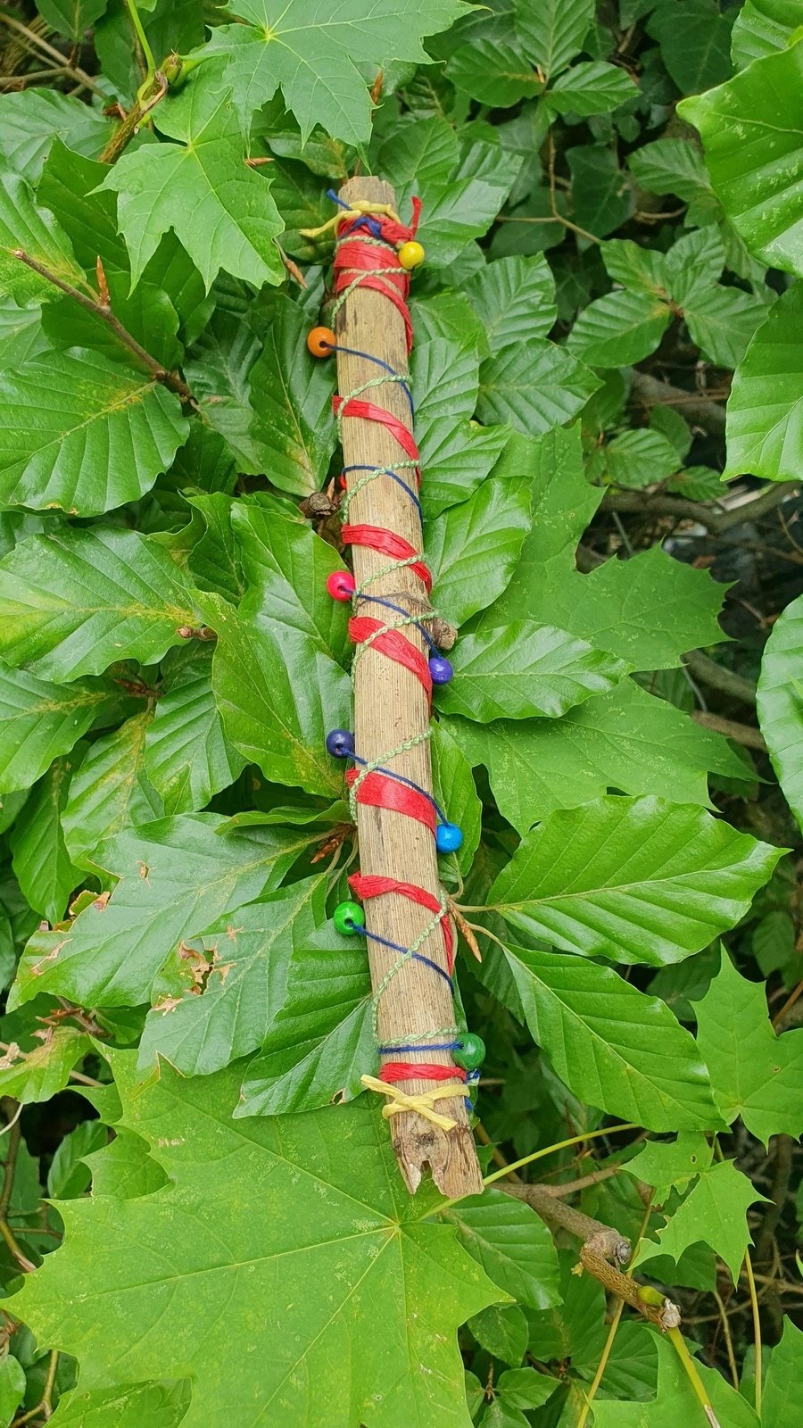 Family Activity - Musical Instrument Made from Japanese Knotweed (Registration Required)
