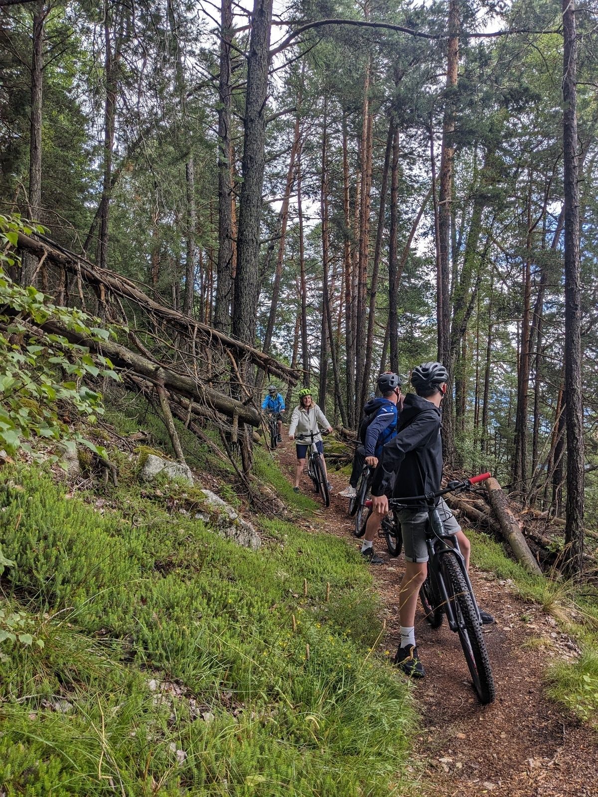 Abenteuer Pustertal: Die E-Bike Tour der Extraklasse
(mittelschwere Tour)