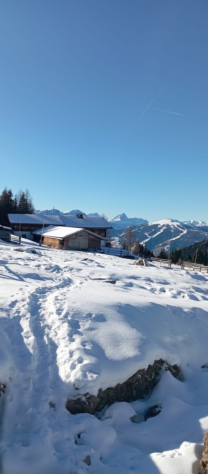 Escursione | Malga Tesido*
