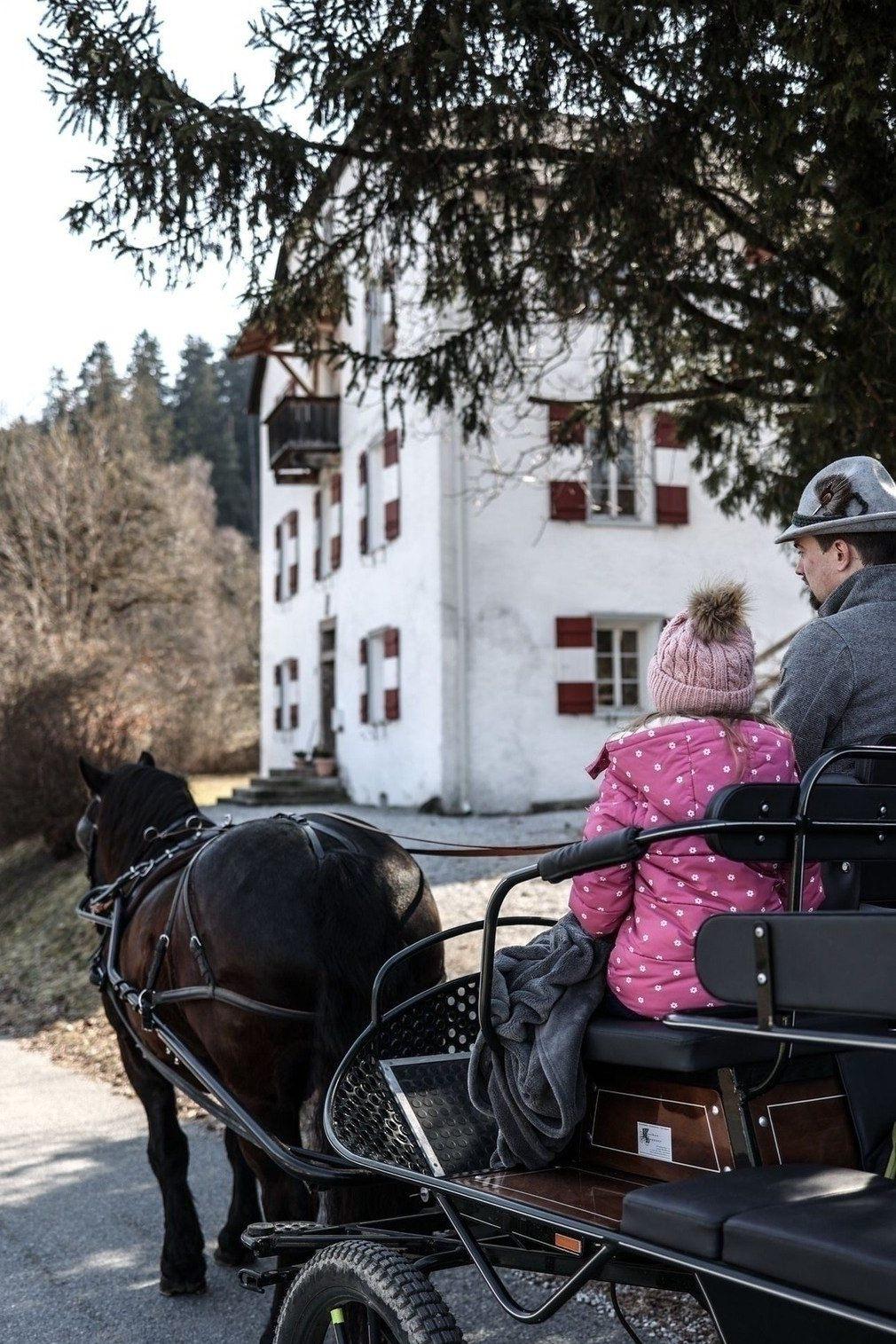 Cozy carriage rides in the middle of Tyrolean nature
