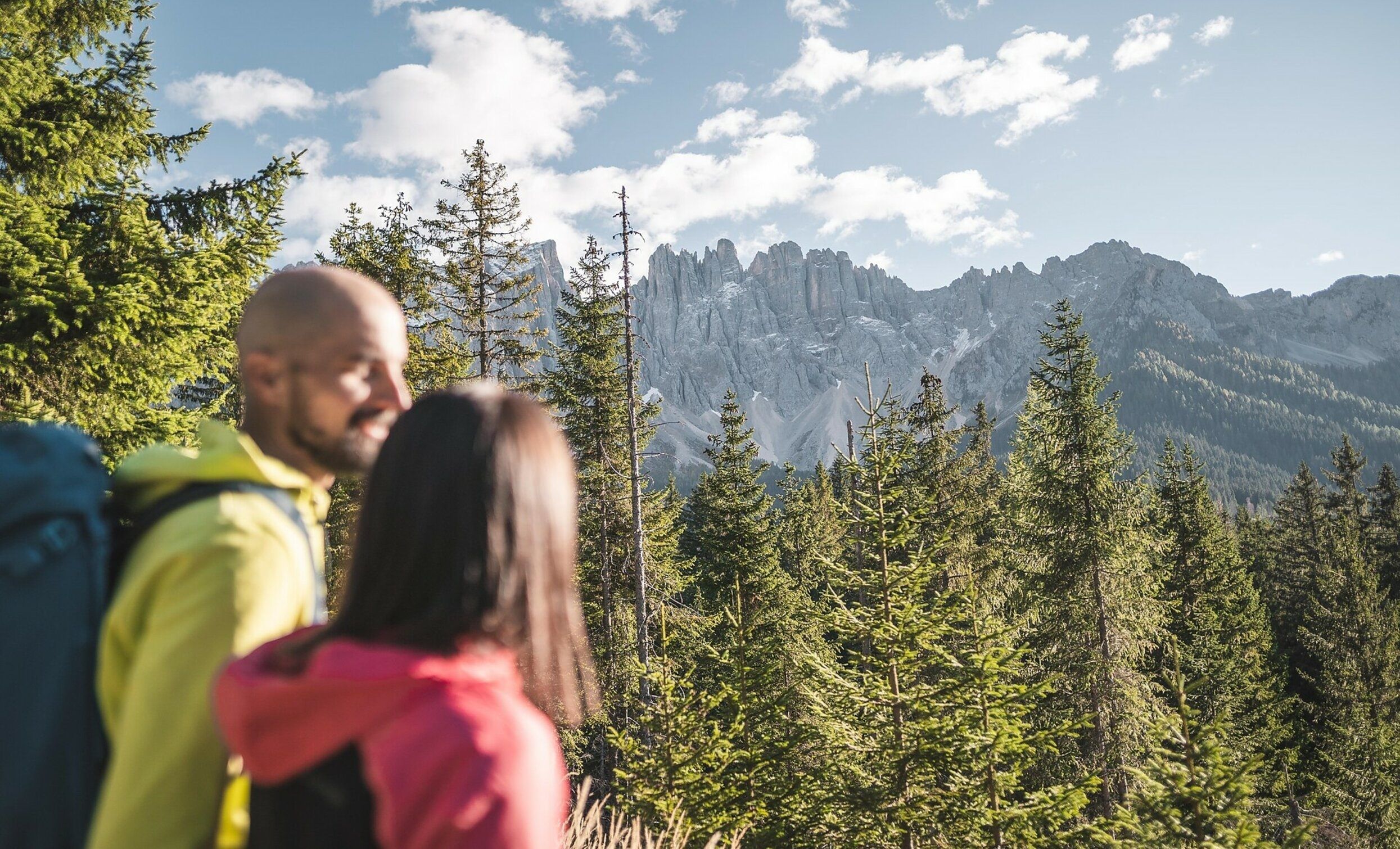 Wald-Wanderung zu Kraftplätzen & Naturdenkmälern