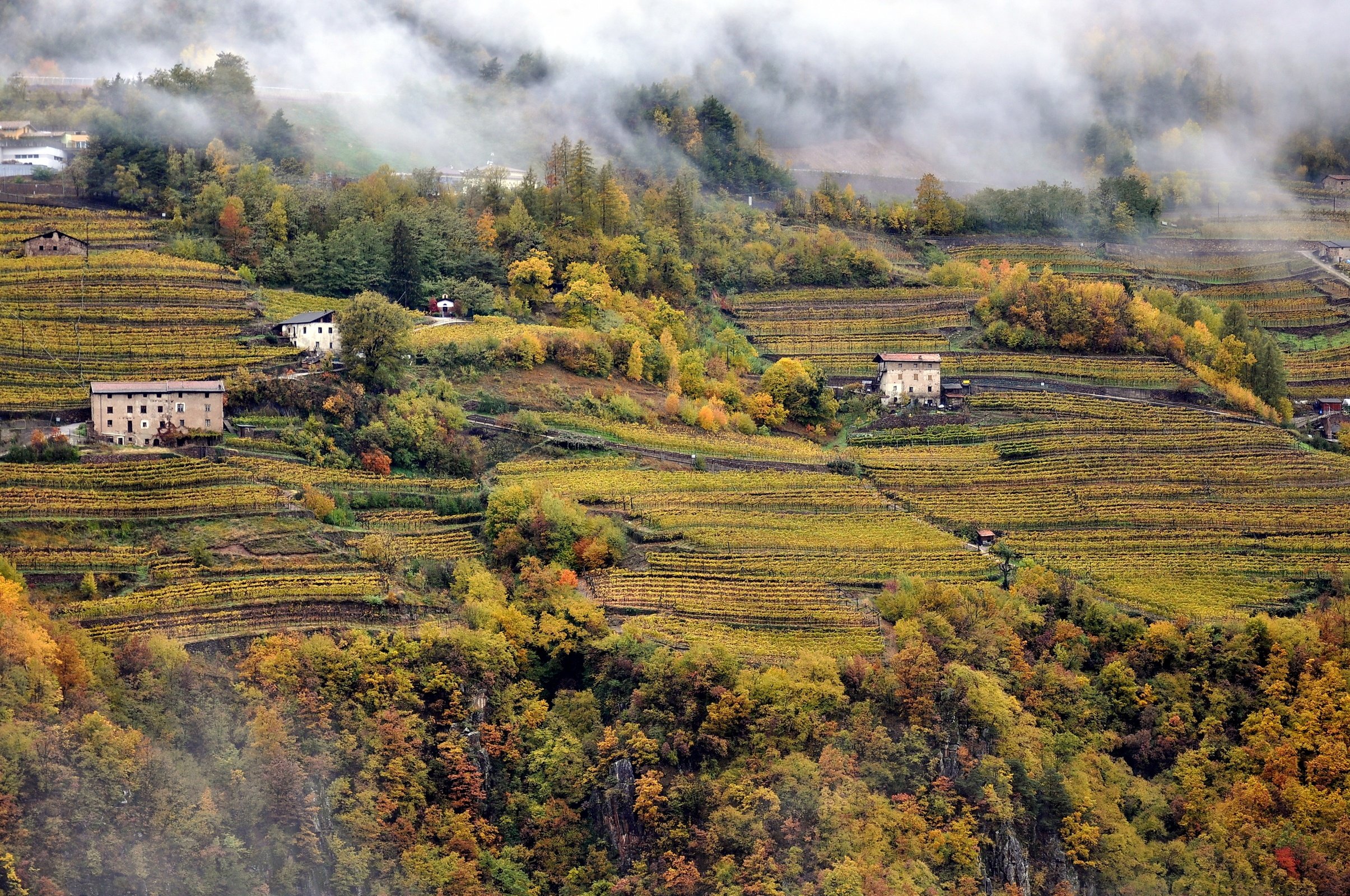 🥃 Distilleria Pilzer - grappa e gin della Val di Cembra
