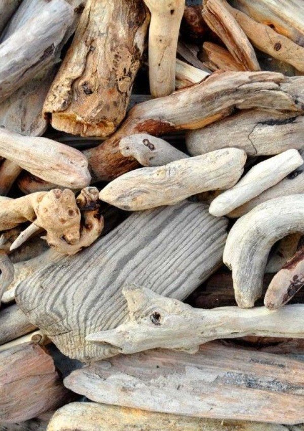 Exhibition of homemade driftwood
