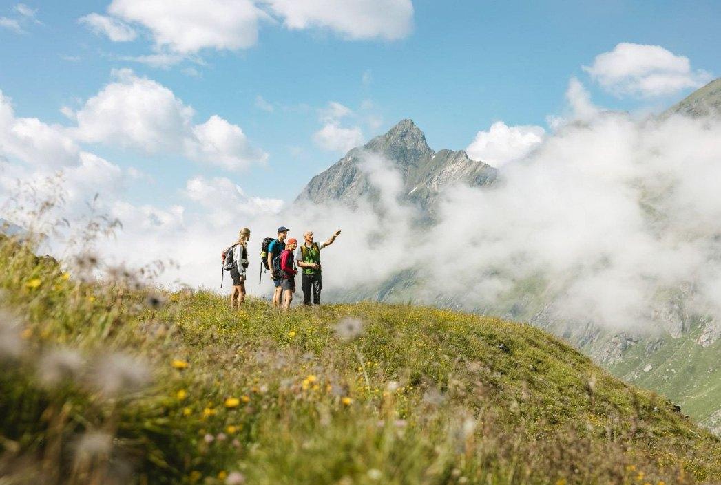 ARTENREICHE Bergwiesen - Vielfältiges Virgental