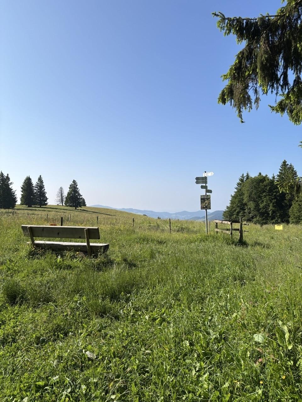NORDIC WALKING