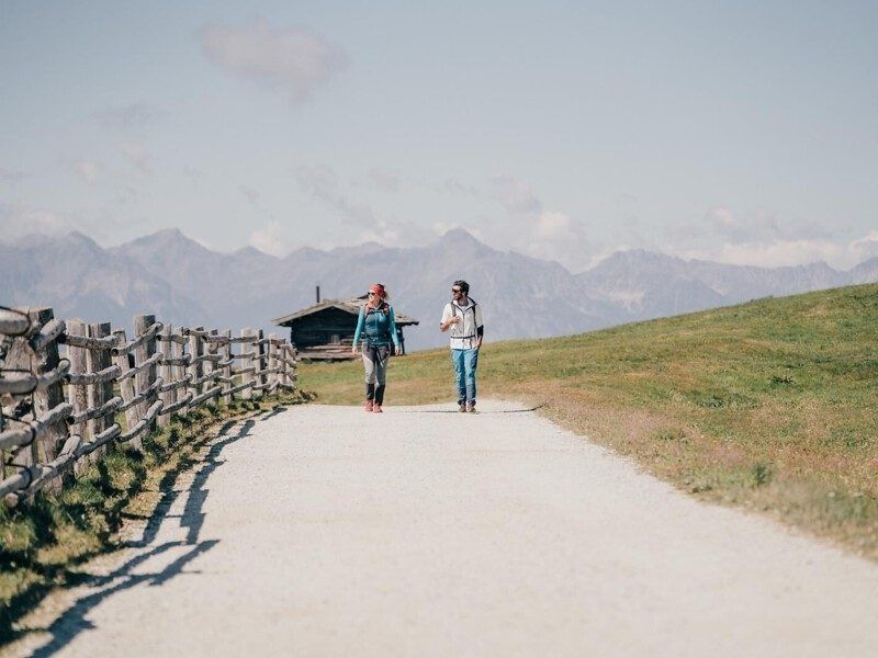 Südtiroler Almblüte Rodenecker Alm