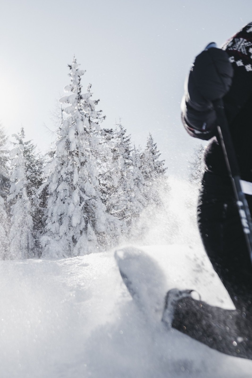 DIY snowshoe hike