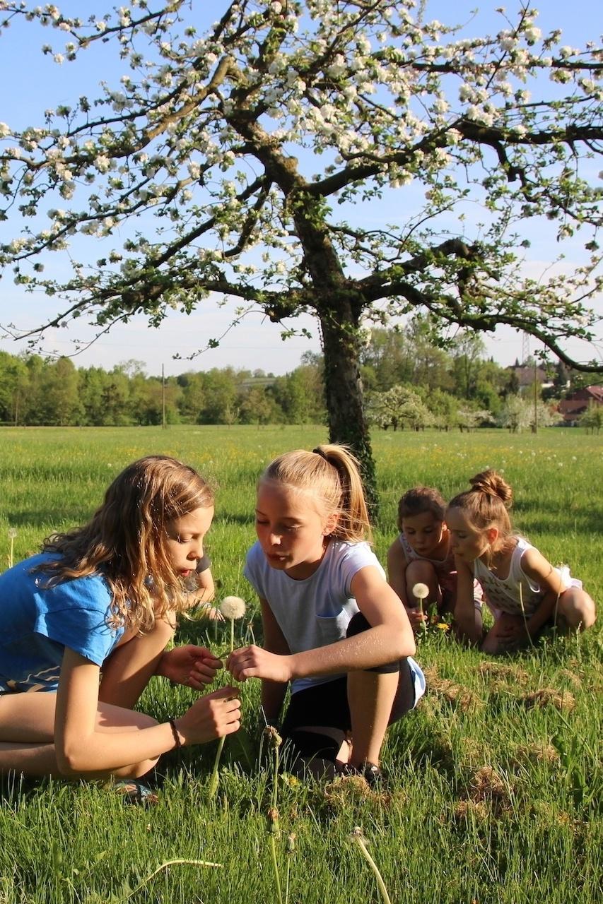 Raus an die frische Luft - Naturerlebnistage auf dem Wirthshof