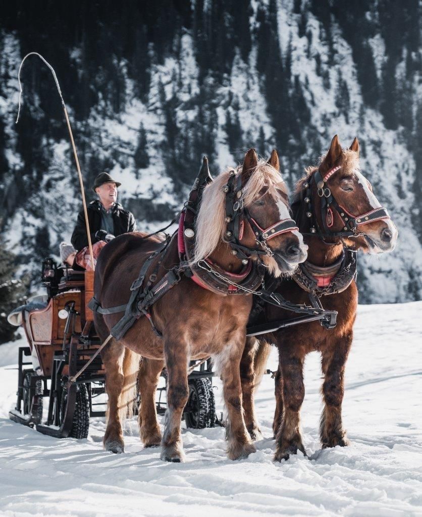 Carriage ride with family and friends
