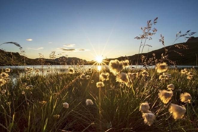 Sonnenaufgang über dem Tuxertal