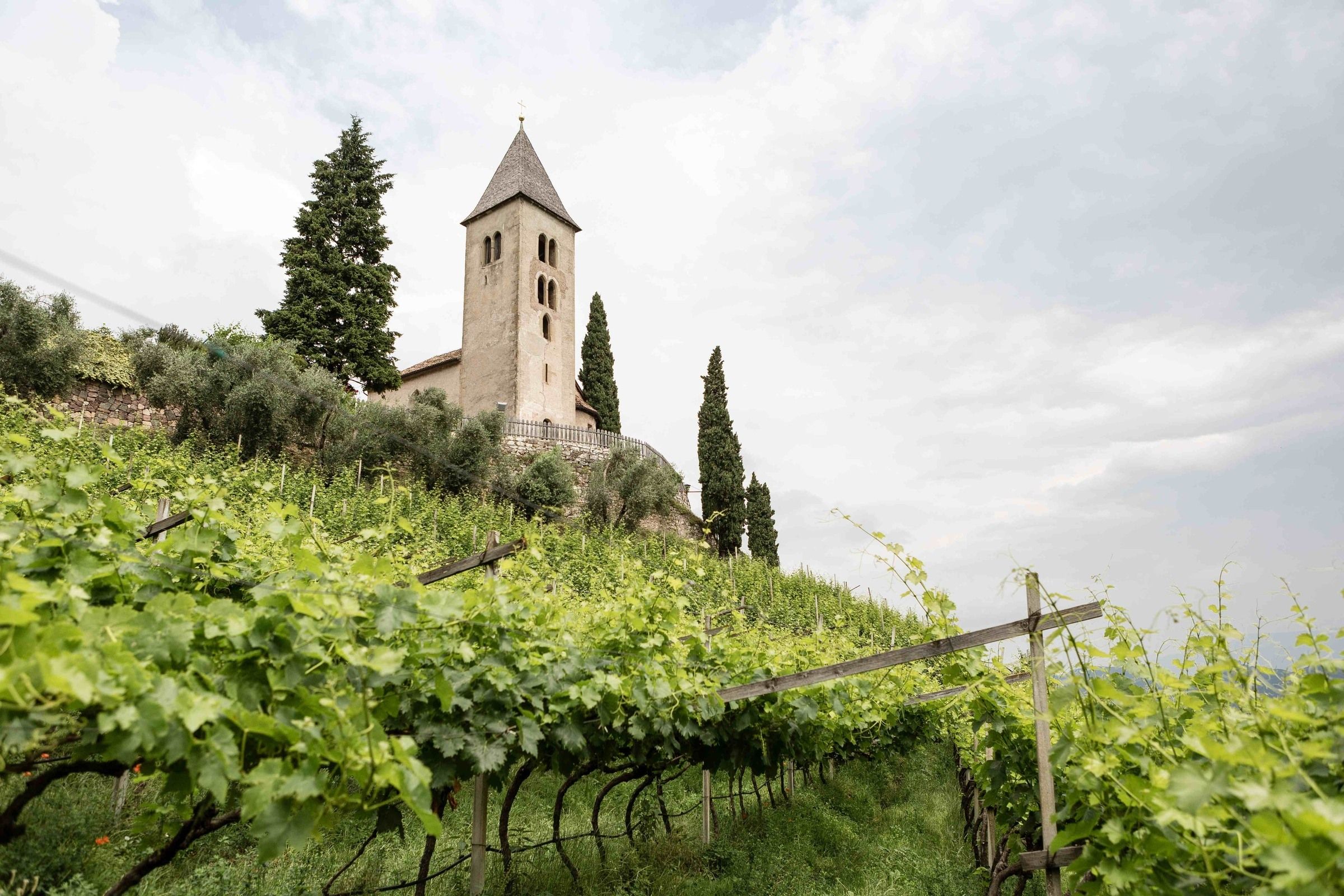 Exkursion & Verkostung zum Weingut Rebhof